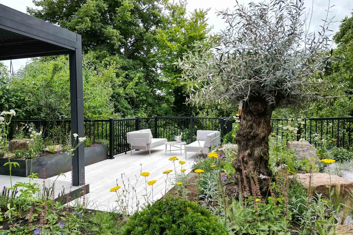 adam vetere gallery new 3 opt